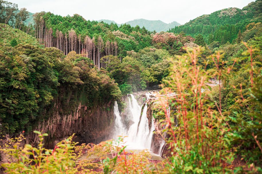🏞️ 스키무 랜드(스키무란도) 이미지 4